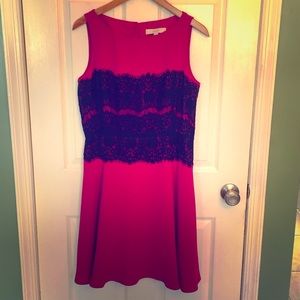 Anne Taylor Loft Dress Size 8 Hot Pink Black Lace